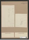 Craspedodiscus sp. (de-Toni-Nr.: Genus 201) Zeichnungen Sammlung Grunow Nr. 8505 (NHMW-BOT-W0377982)